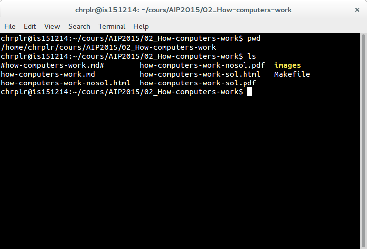 Picture of a virtual terminal in Linux